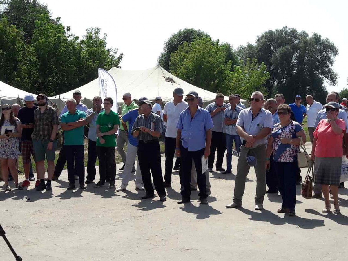 День поля на тему “Картопляний бізнес в Україні"