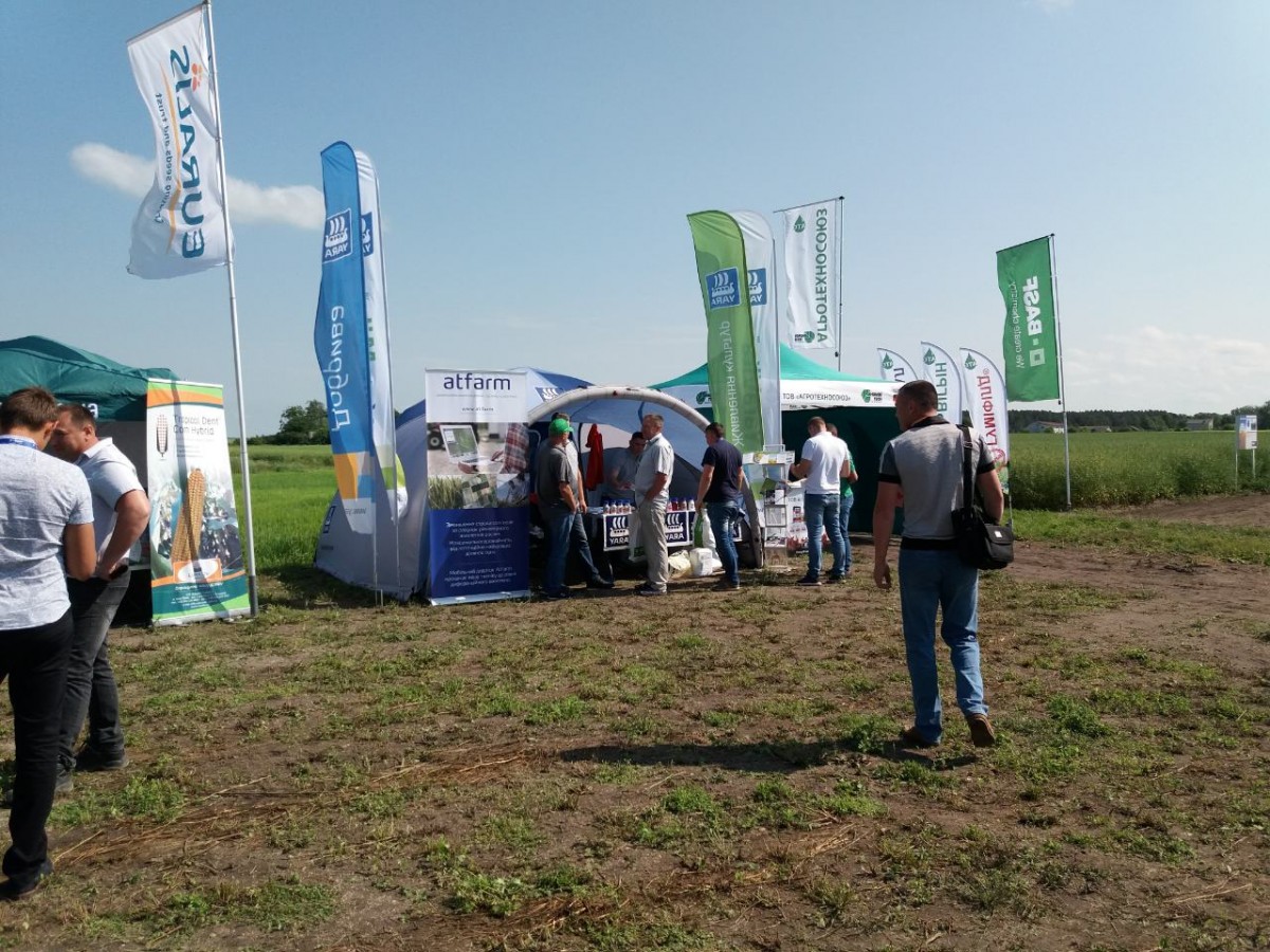 На днях поля, проведених компанією BASF