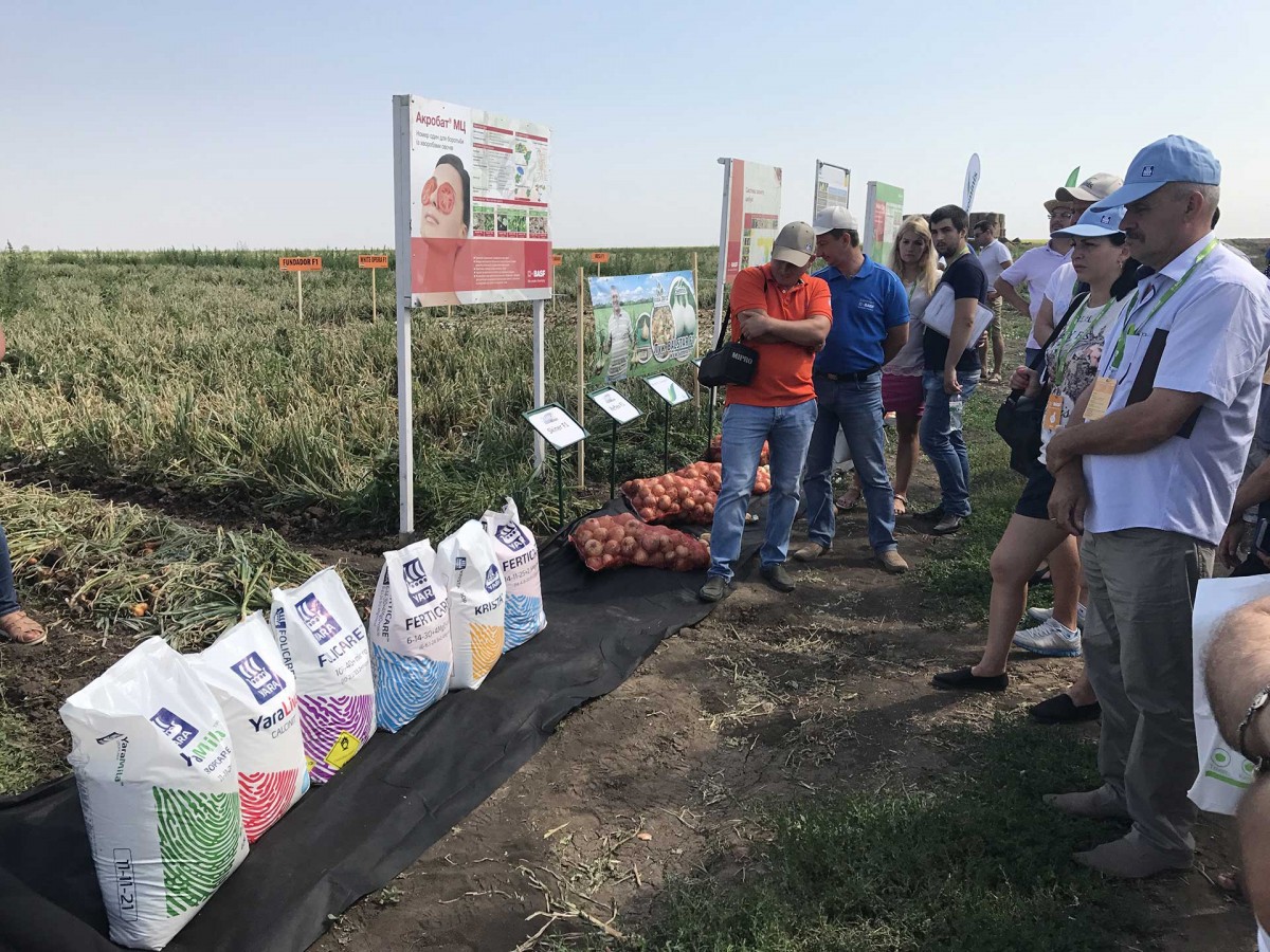 День Поля "Сучасні технології в овочівництві"