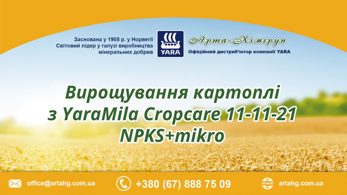 Вирощування картоплі з YaraMila Cropcare 11-11-21 NPKS+mikro (Відео)